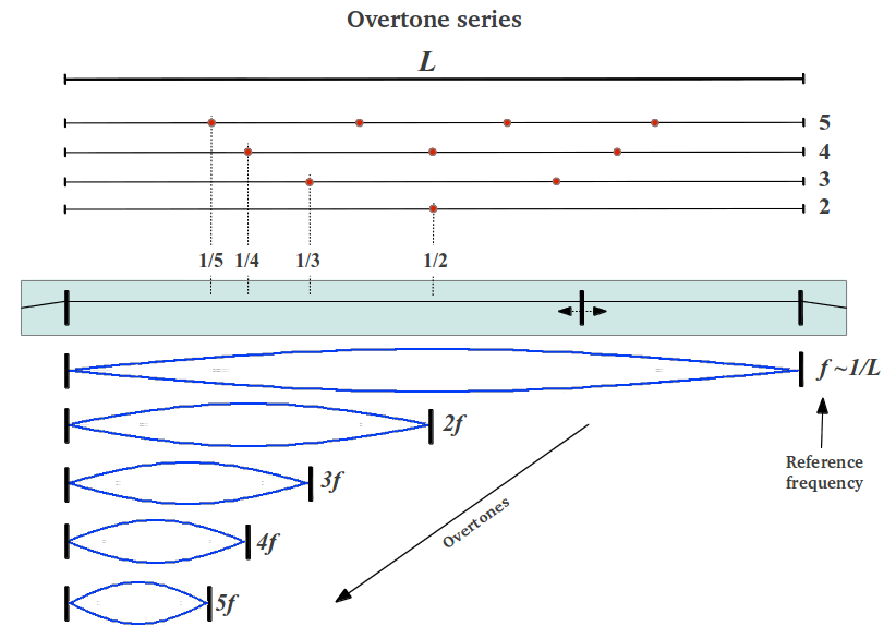 Overtone series in a monochord